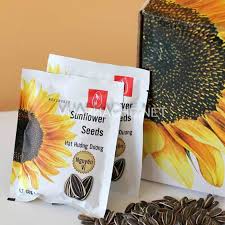 Hướng dương nguyên vị